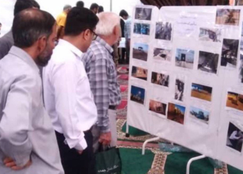 اقدامات اداره کل بنادر و دریانوردی استان بوشهر در حوزه پیشگیری و مقابله با حمل و ترانزیت موادمخدر/ از تامین و نصب دستگاه ایکس ری تا استفاده از سگ‌های موادیاب