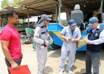 تشکیل پرونده برای بیش از 2 هزار متقاضی ثبت قایق صیادی