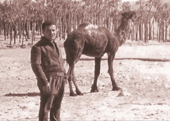 راه دور و دراز رستگاری