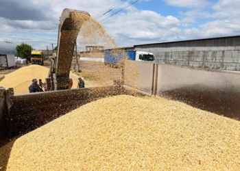 طرح لجستیکی روسیه برای صدور غلات به آمریکای لاتین