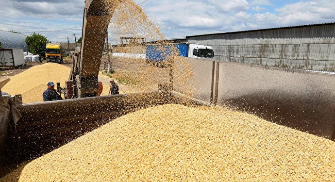 طرح لجستیکی روسیه برای صدور غلات به آمریکای لاتین