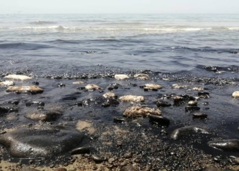 عملیات پاک‌سازی آب‌های گناوه از آلودگی نفتی ادامه دارد