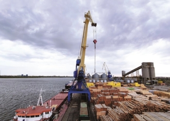 کشتی کانتینربر یخچالی وارد بازار صادرات شد