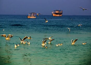 شماره موقت برای شناورهای شخصی و تفریحی در جزیره کیش صادر می‌ شود