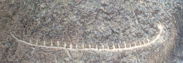 سنگ نگاره نزدیک دریای خزرآذربایجان (~ 10000 ق.م)