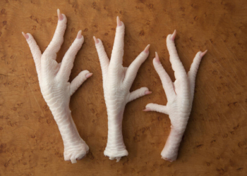 Iran’s Chicken Feet Exports: A Global Perspective