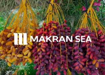 صادرات خرما در ایران: نگاهی به مهم‌ترین بازارهای جهان