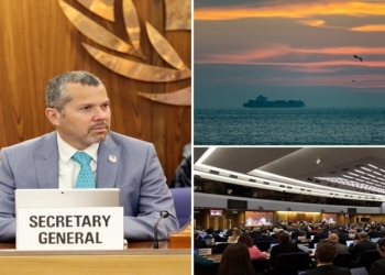 دبیر کل آیمو