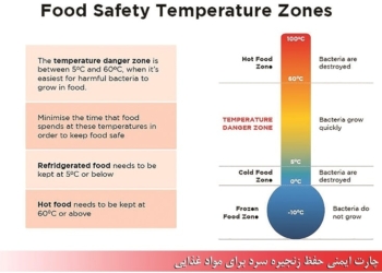 زنجیره سرد غذا