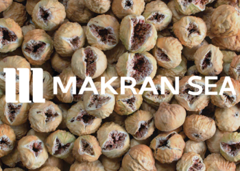 صادرات انجیر خشک ایران