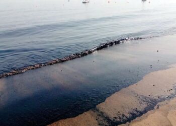 ساحل بندر بوشهر از لکه های نفتی پاک سازی شد