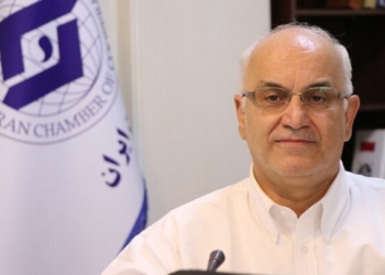 نیاز به نوسازی ناوگان یخچالی در خطوط دریایی/هزینه دموراژ بالاست