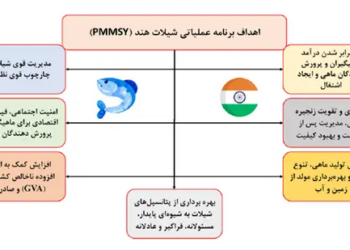 اهداف هند در شیلات