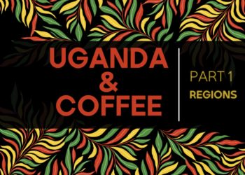 Uganda’s coffee part 1