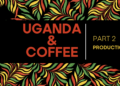 UGANDA Coffee PART 2