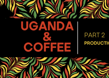 UGANDA Coffee PART 2