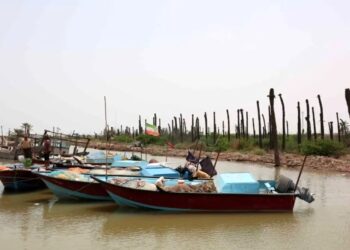 اروندکنار دروازه توسعه تجارت دریایی ایران/ ضرورت ورود بخش خصوصی