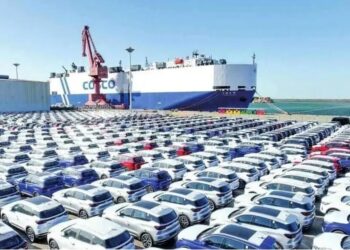 نخستین محموله خودروهای وارداتی ترانزیتی از بندر سیریک ترخیص شد