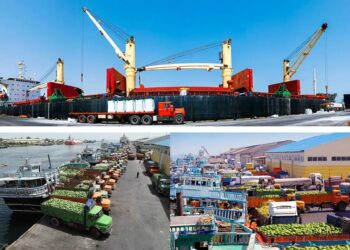 بندر شهید باهنر بندرعباس شلوغ شد؛ تخلیه و بارگیری همزمان ۱۴ فروند شناور باری