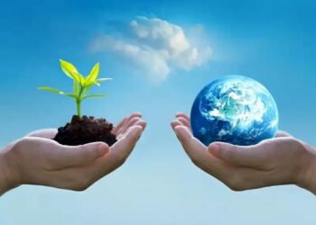 گامی نوین در تولید سوخت زیستی و انرژی از دریا