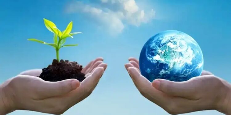 گامی نوین در تولید سوخت زیستی و انرژی از دریا