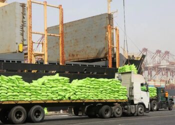 آغاز تخلیه دومین کشتی برنج در بندر شهید رجایی