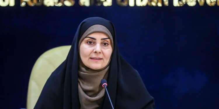 صحبت های وزیر راه و شهرسازی پس از بازگشت از سفر یک روزه به جزیره بوموسی