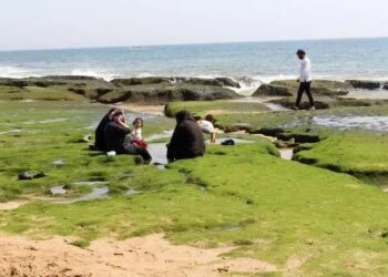 لزوم توسعه دریامحور با زیست‌ بوم ساحلی