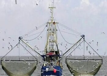 ورود دادستانی به صید ترال در آب‌ های هرمزگان ‌