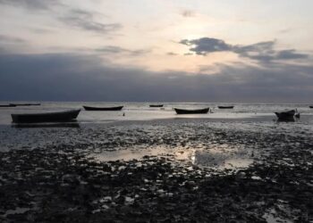 بحران دریای خزر؛ تهدید جدی برای حمل و نقل، محیط زیست و تالاب‌ های ایران