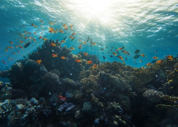 عوامل تأثرگذار بر رونق اقتصاد اقیانوسی