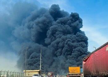 در ارتباط با حادثه بندر شهید رجایی، تاکنون یک مدیرکل دولتی و یک مدیر بخش خصوصی به اتهام قتل غیرعمد ۴۹ نفر، بازداشت شده اند