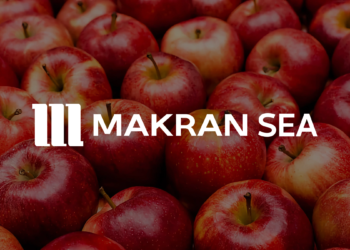 صادرات سیب ایران: موفقیت بزرگ یا رشدی شکننده؟