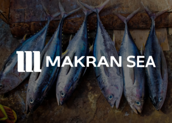 راهنمای گام‌به‌گام واردات ماهی تن؛ از ثبت سفارش تا ترخیص