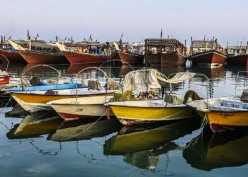 پیشرفت طرح واگذاری مدیریت بنادر ماهیگیری به بخش غیردولتی