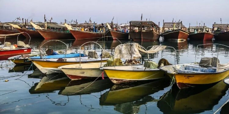 پیشرفت طرح واگذاری مدیریت بنادر ماهیگیری به بخش غیردولتی