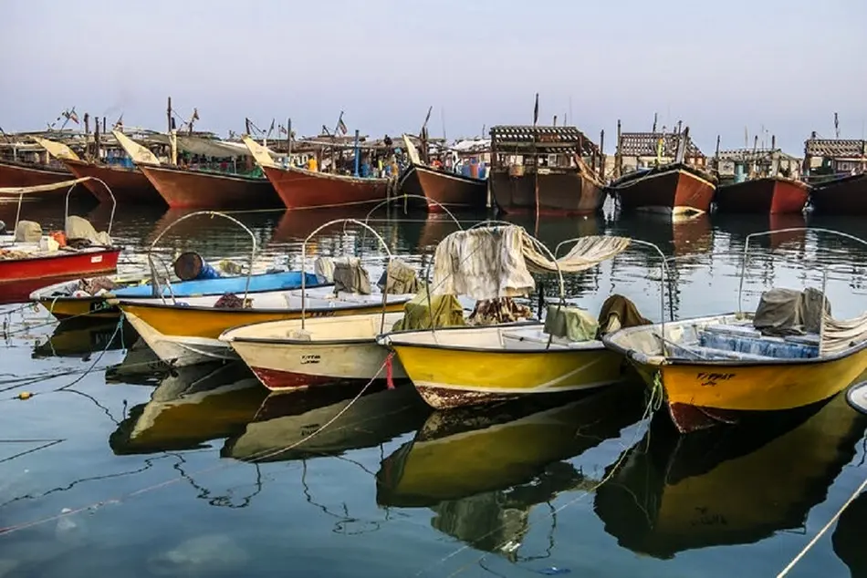 پیشرفت طرح واگذاری مدیریت بنادر ماهیگیری به بخش غیردولتی