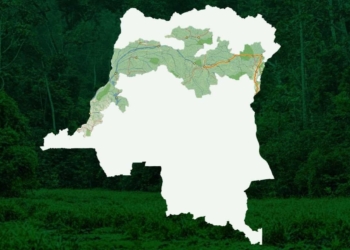 شناسایی ۸۴ پروژه کریدور سبز دریایی در جهان/ ۲۵ کریدور جدید به ابتکار کربن صفر افزوده شد