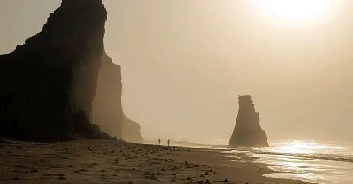 ارائه دیپلم «مکانیک موتورهای دریایی» در سواحل مکران برای توسعه مهارت های دریایی