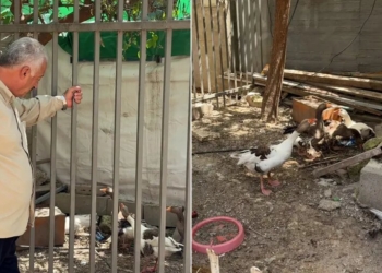 خبرگزاری مهر | اخبار ایران و جهان | Mehr News Agency