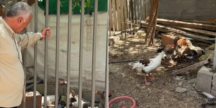 خبرگزاری مهر | اخبار ایران و جهان | Mehr News Agency