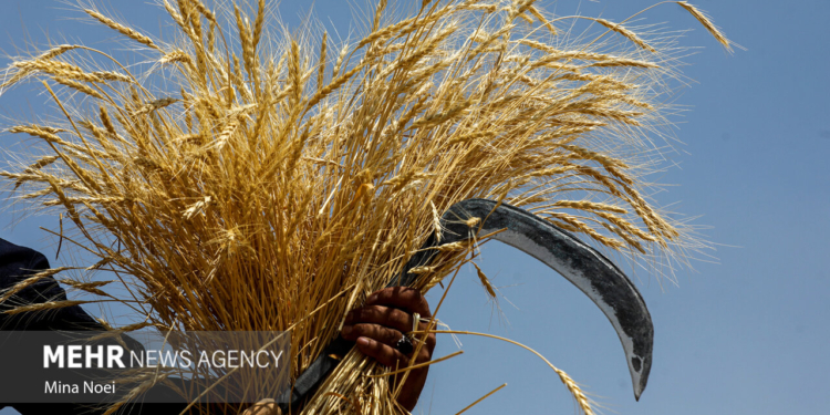 خبرگزاری مهر | اخبار ایران و جهان | Mehr News Agency