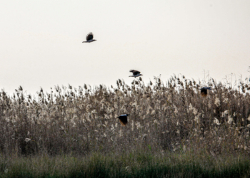 خبرگزاری مهر | اخبار ایران و جهان | Mehr News Agency