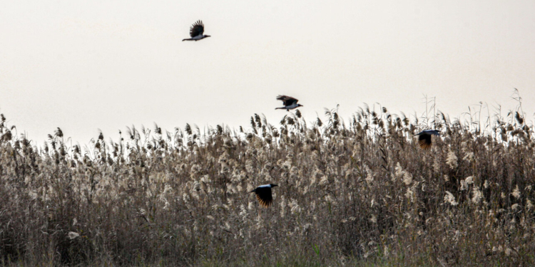خبرگزاری مهر | اخبار ایران و جهان | Mehr News Agency