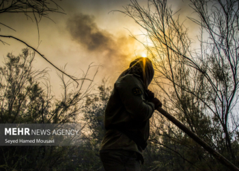خبرگزاری مهر | اخبار ایران و جهان | Mehr News Agency