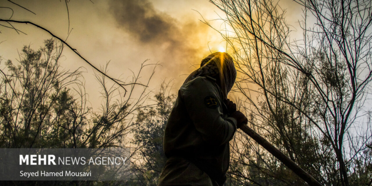 خبرگزاری مهر | اخبار ایران و جهان | Mehr News Agency