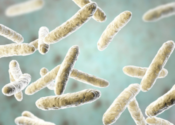 ابداع روشی کم‌هزینه برای شناسایی باکتری‌های مقاوم به آنتی بیوتیک - خبرگزاری مهر | اخبار ایران و جهان