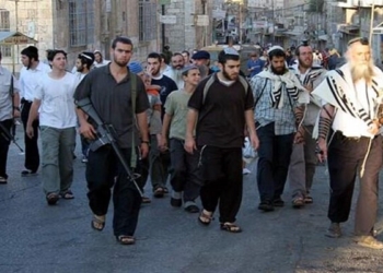 افزایش وحشتناک خشونت‌ صهیونیست ها علیه فلسطینیان از اکتبر ۲۰۲۳ - خبرگزاری مهر | اخبار ایران و جهان