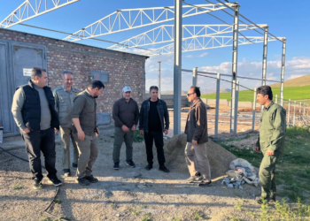 سایت تکثیر و مرکز تحقیقات میش‌ مرغ بوکان تکمیل می شود - خبرگزاری مهر | اخبار ایران و جهان