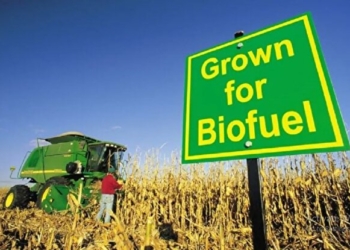 سوخت‌های بیولوژیکی ارزان؛ ارزان‌ترین گزینه حمل‌ونقل یا بزرگ‌ترین اشتباه هزینه‌بر؟